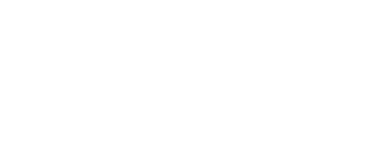 DECTEAM logo